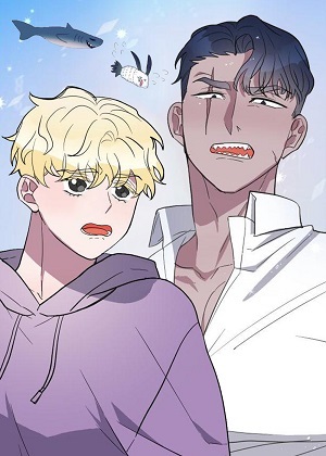鲨鱼起点 鲨鱼起点